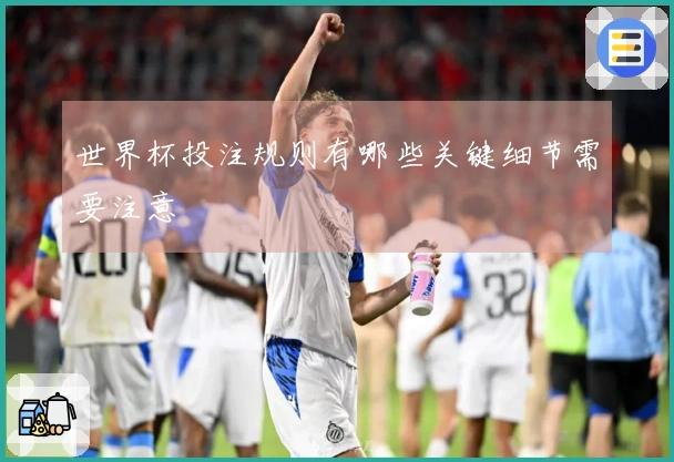 世界杯投注规则有哪些关键细节需要注意