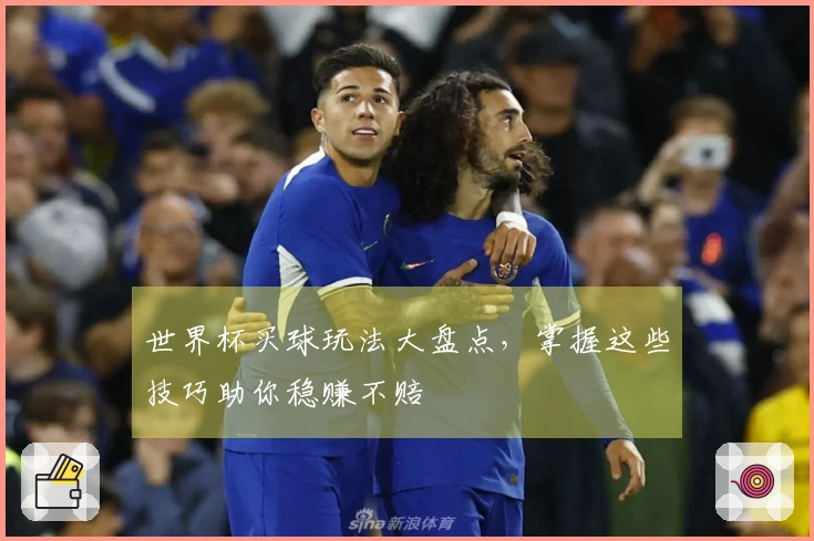 世界杯买球玩法大盘点，掌握这些技巧助你稳赚不赔