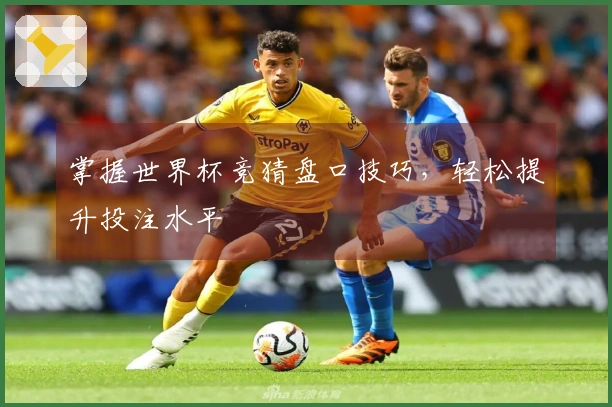 掌握世界杯竞猜盘口技巧，轻松提升投注水平