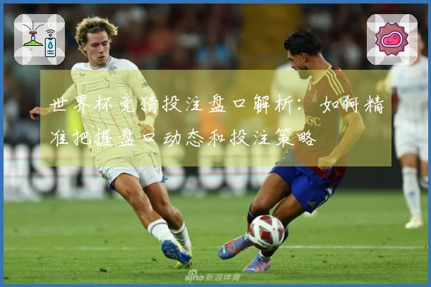 世界杯竞猜投注盘口解析：如何精准把握盘口动态和投注策略