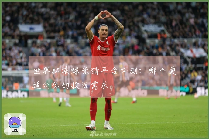 世界杯滚球竞猜平台评测：哪个更适合你的投注需求
