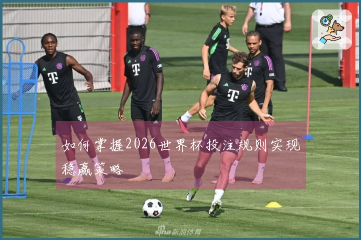 如何掌握2026世界杯投注规则实现稳赢策略