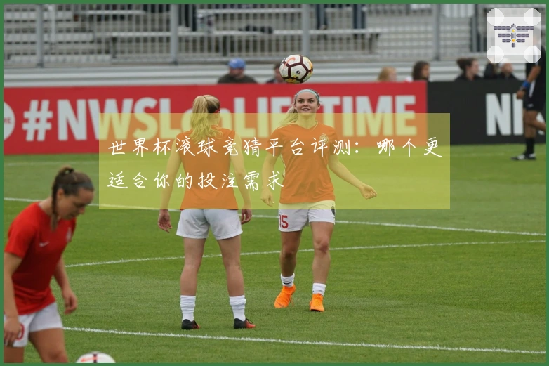 世界杯滚球竞猜平台评测：哪个更适合你的投注需求