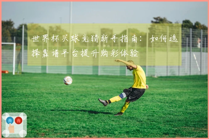 世界杯买球竞猜新手指南：如何选择靠谱平台提升购彩体验