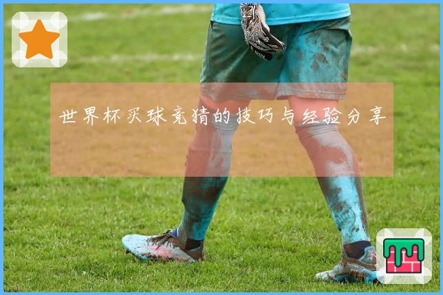 世界杯买球竞猜的技巧与经验分享