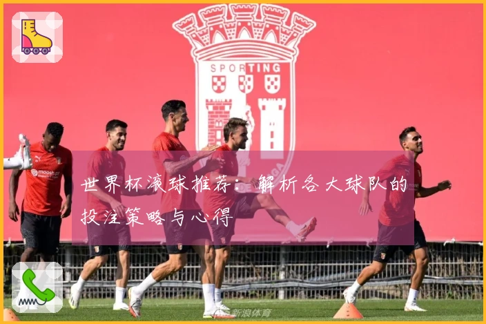 世界杯滚球推荐：解析各大球队的投注策略与心得