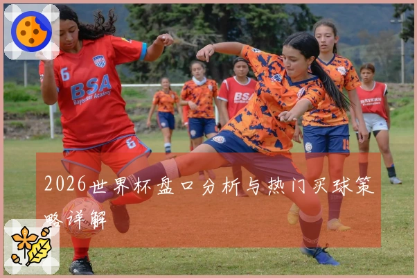 2026世界杯盘口分析与热门买球策略详解