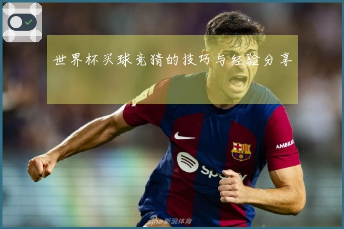世界杯买球竞猜的技巧与经验分享