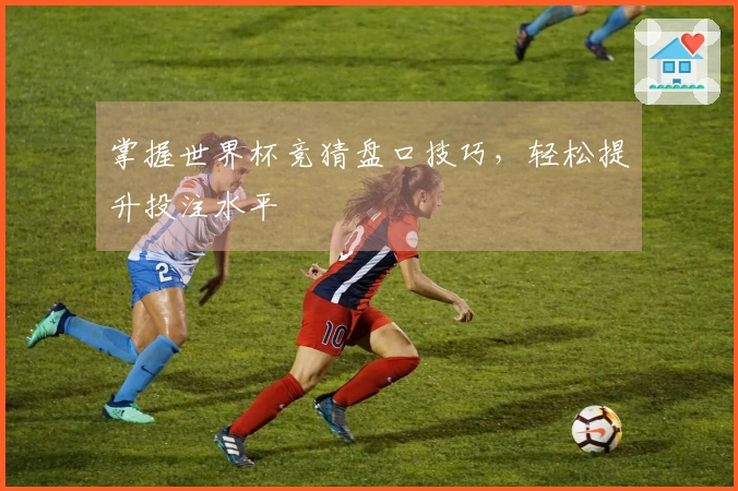 掌握世界杯竞猜盘口技巧，轻松提升投注水平