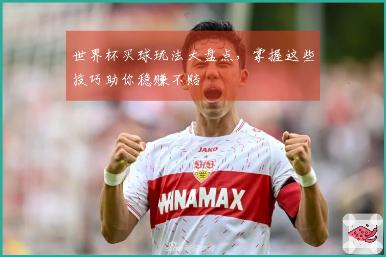 世界杯买球玩法大盘点，掌握这些技巧助你稳赚不赔
